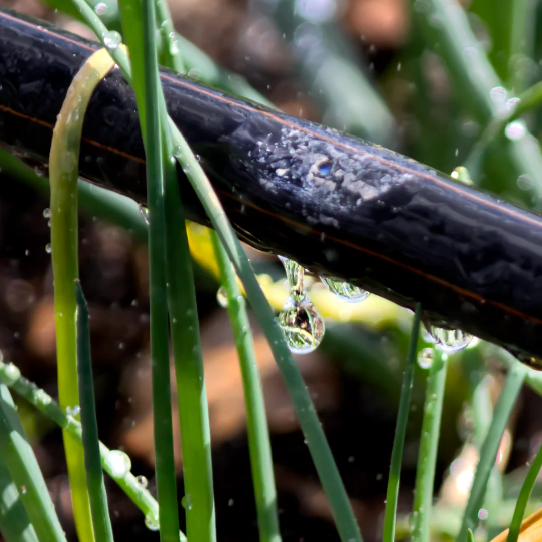 Afriq Drip dripline for lime affected water in South Africa