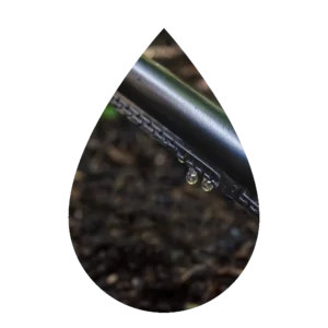 Afriq Water Labyrinth Dripline Category Image