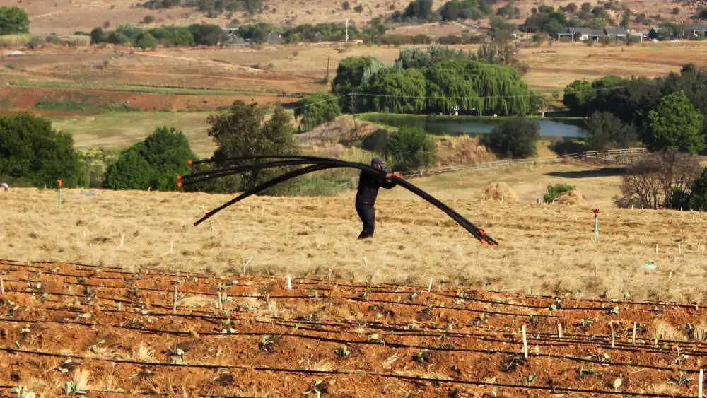 Afriq Water Quick Coupling carrying pipes