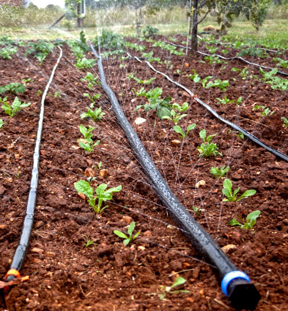 afriq water rain hose image