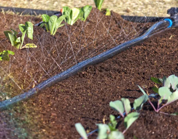 afriq water rain hose irrigation 2