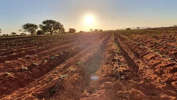 Afriq Water 12mm vs 16mm dripline diameter comparison
