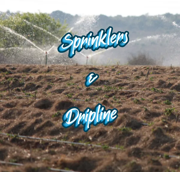 Afriq Water dripline irrigation and sprinkler irrigation comparison