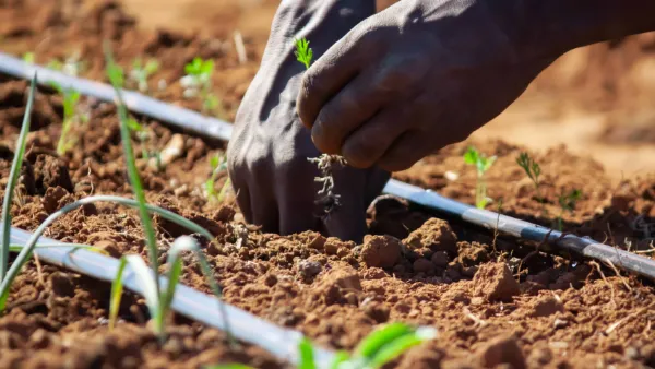 Afriq Dripline rolls manufactured in South Africa showing different wall thickness options