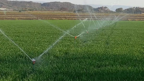 Afriq Water quick coupling HDPE irrigation system for lawns and lucerne crops