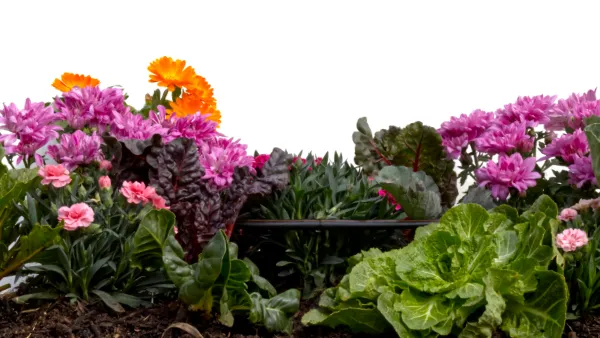 Afriq Dripline manufacturing in South Africa compared to imported dripline rolls